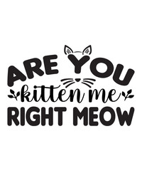Are You Kitten Me Right Meow SVG Cut File