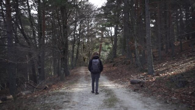 Bosque