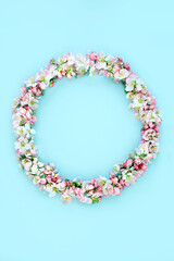 Spring wreath with apple blossom flowers on blue background. Natural fresh flora composition, Springtime flower nature Beltane equinox concept. Copy space, top view, flat lay.