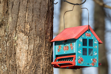 Obraz na płótnie Canvas bird house in the tree