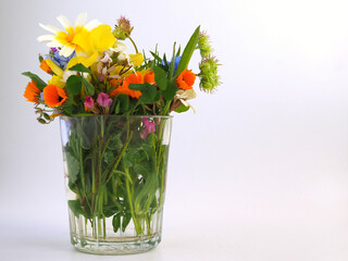 Сolorful blooming wild meadow flowers in a glass.