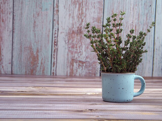Fresh green rosemary bunch in ceramic mug, against a wooden  background.