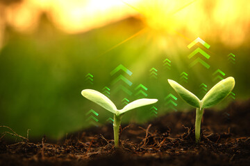 Young plants increase on sunrise with flare. Growing money, value, finance and investment. Business...