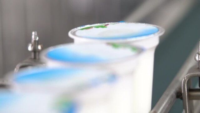 buttermilk machine production