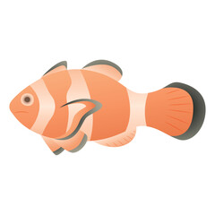 Vector isolated cartoon illustration of sea clown fish.