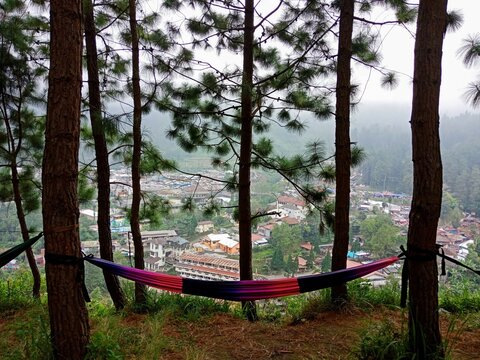The view from the top of the tourist hill in Tegal, Central Java