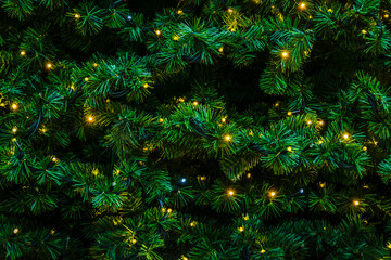Fototapeta na wymiar Christmas tree close up