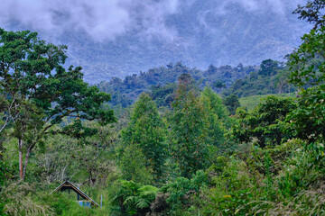 Impressive landscape view from the top of the natural viewpoint in Oxapampa, contemplating all the exuberant vegetation.