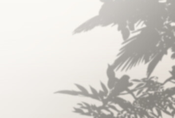 背景イラスト_木漏れ日