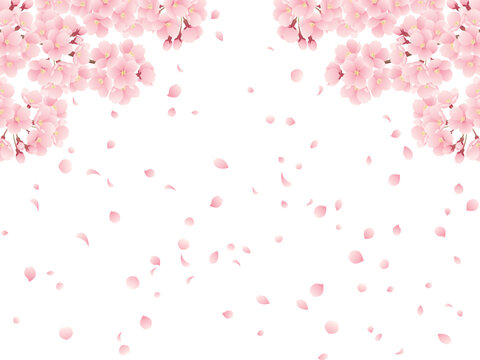 桜吹雪 Images – Browse 26,081 Stock Photos, Vectors, and 桜吹雪 Images – Browse 26,081 Stock Photos, Vectors, and