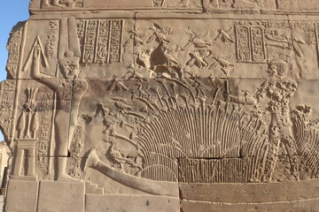 Beautiful ancient egyptian carvings at Kom Ombo temple in Aswan 
