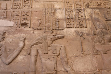 Ancient egyptian god Sobek at temple of Kom Ombo in Aswan 