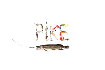 Pike and artificial bait lie on white background..