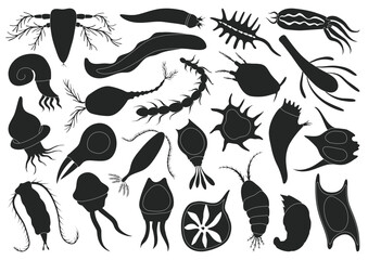 Plankton vector black set icon. Isolated black set icon phytoplankton.Vector illustration plankton on white background.