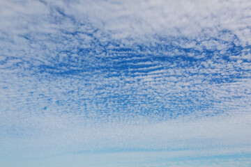 Obraz premium Blue sky