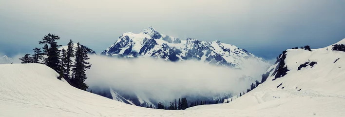 Foto op Plexiglas Winter mountains © Galyna Andrushko