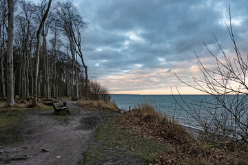 Gespensterwald mit weg und Bank. Der Blick auf die alten Bäume und die unter winterlichem Himmel...