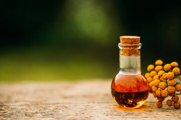 Oil bottle. Flowers. Aroma. Background. 