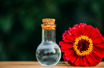 Oil bottle flowers. Herbs. Flowers. 