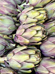 Obraz premium raw artichokes as a background