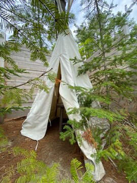 White Teepee in the forest