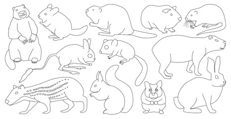 Obraz premium Species of rodents vector outline set icon. Isolated outline set icon gnawer.Vector illustration species of rodents on white background.