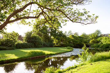 Beautiful  landscape of park trees located along the bank of the canal.