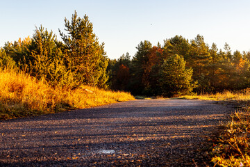 Low angle view to the road leading to the woods at misty fall morning. Foliage near pathway at sunrise. Misty morning at countryroad during autumn day. 