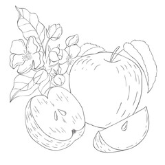 Line Art Apple Label. Elements of Fruits and Flowers. Vector Illustration on white Background.