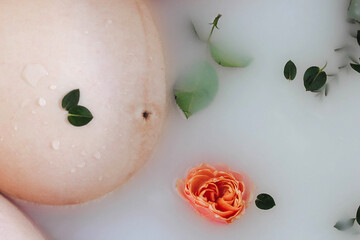 Fototapeta premium Cropped view of pregnant woman taking bath with flowers and milk