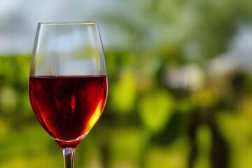 glass of wine, wine on a glass beautiful natural  background, Generative AI