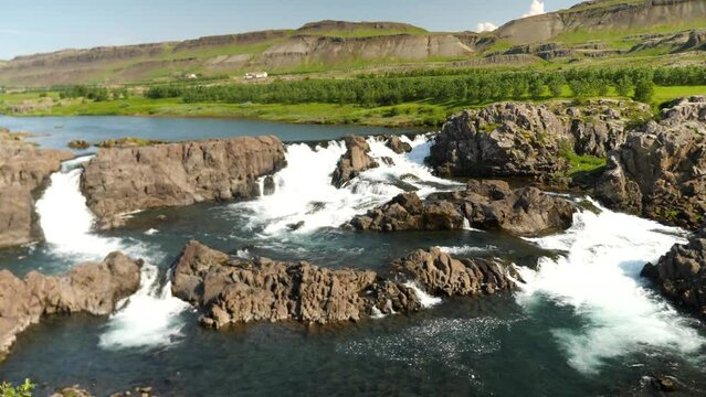 Glanni Waterfall with jumping salmon during summer in Iceland. Magical Icelandic landscape with lush green bushes. High quality 4k footage
