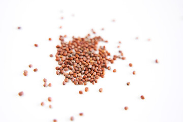 Flat lay microgreen seeds on white background