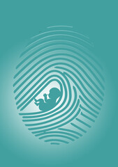 A fingerprint is seen with a human fetus in a 3-d illustration about if or when does a fetus become a human being with regards to abortion rights arguments.