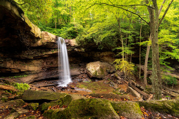 waterfall in the forest