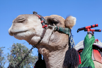 Jerusalem is a place that people visit in large numbers every year.