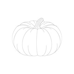 Pumpkin fruits. Contour drawing (black and white). 