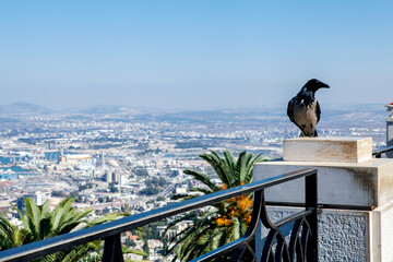 The Bahai Gardens of Israel, a place of relaxation and rest. © Dan