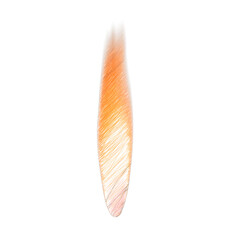 Candle Flame  isolated transparent background drawing
