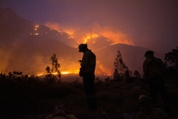 Firefighter Checking Phone