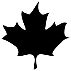 Clean and simple maple leaf illustration. Line art, clipart, geometric, icon, object, shape, symbol, etc. PNG with transparent background. Design elements for websites and other graphics.