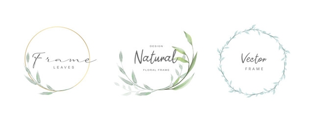 Floral frames. Elegant vintage wreath with watercolor leaves and golden line. Vector illustration for labels, corporate identity, wedding invitations