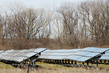 Many solar panels in a row in a large solar panel field for renewable energy.