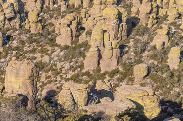 Scenic Landscape in Chiricahua National Monument Arizona in Winter