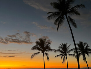 Silhouettes of four palm trees against an evening sky along the oceanfront in Hawaii.
