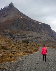 A girl wearing pink jacket walks toward a massive, powerful mountain with snow in the southern land of ice