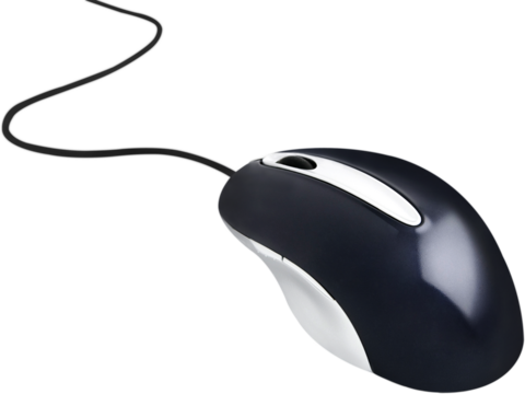 Computer Mouse - Isolated