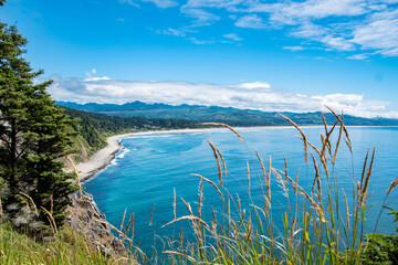 Coastal Landscapes of Oregon