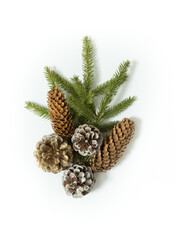 Composition with fir tree branch and cones isolated on white background. Elements for Christmas greeting card. Holiday decorations