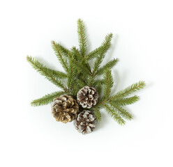 Composition with fir tree branch and cones isolated on white background. Elements for Christmas greeting card. Holiday decorations